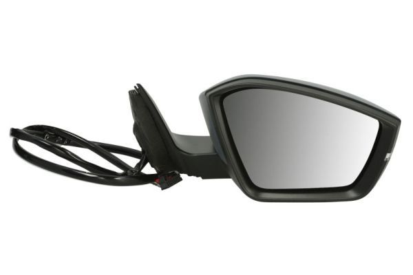BLIC 5402-43-1319317P Exterior Mirror