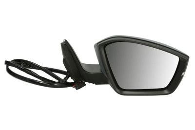 Exterior Mirror BLIC 5402-43-1319317P