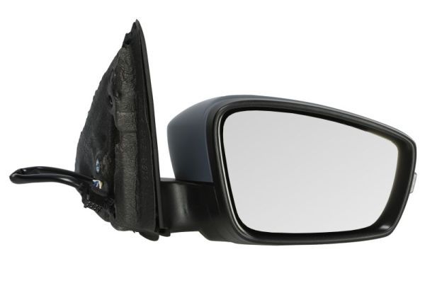 BLIC 5402-43-2002344P Exterior Mirror