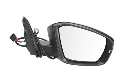Exterior Mirror BLIC 5402-43-2002352P