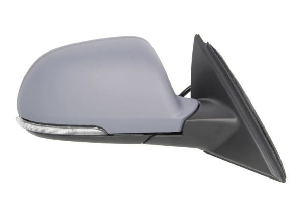 BLIC 5402-43-2002368P Exterior Mirror
