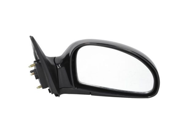 BLIC 5402-53-2001496P Exterior Mirror