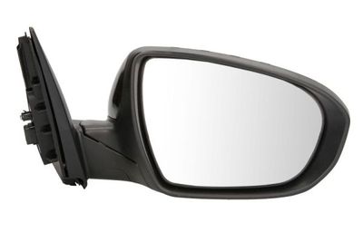 Exterior Mirror BLIC 5402-53-2001516P