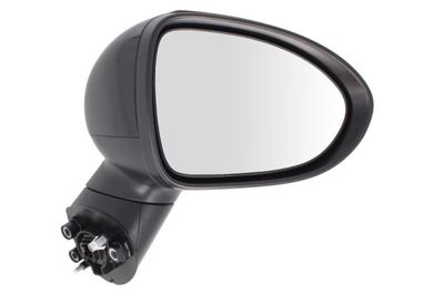 Exterior Mirror BLIC 5402-53-2001554P