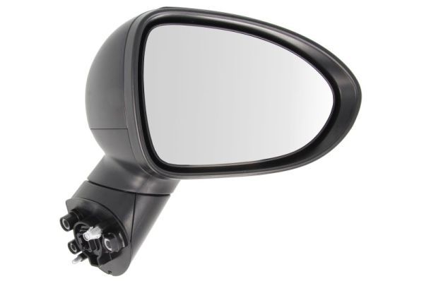 BLIC 5402-53-2001556P Exterior Mirror
