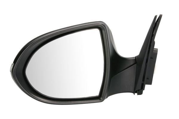 BLIC 5402-53-2001575P Exterior Mirror