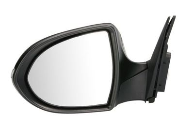 Exterior Mirror BLIC 5402-53-2001575P
