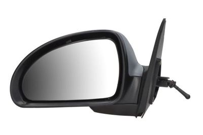 Exterior Mirror BLIC 5402-53-2002853P
