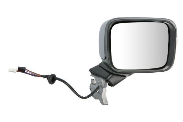BLIC 5402-55-0625362P Exterior Mirror