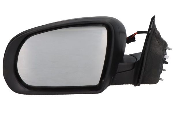 BLIC 5402-55-2001473P Exterior Mirror
