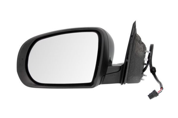 BLIC 5402-55-2001479P Exterior Mirror