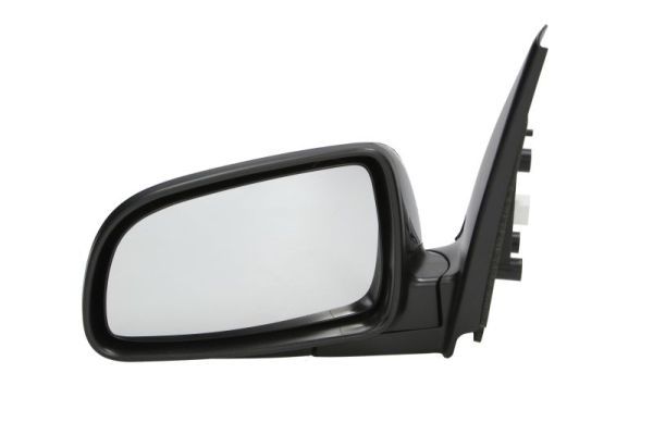 BLIC 5402-56-005361P Exterior Mirror