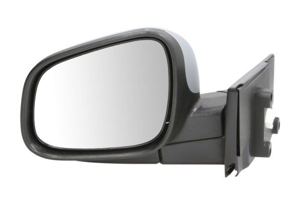 BLIC 5402-56-010369P Exterior Mirror