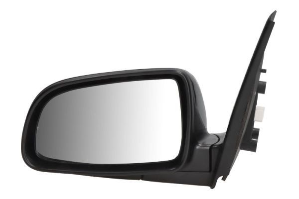 BLIC 5402-56-2001067P Exterior Mirror