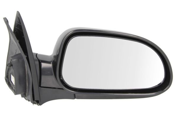 BLIC 5402-56-2001072P Exterior Mirror