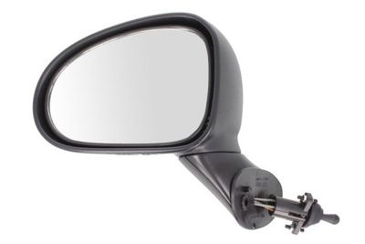 Exterior Mirror BLIC 5402-56-2001073P