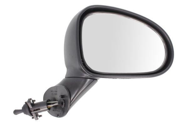 BLIC 5402-56-2001074P Exterior Mirror