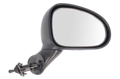 Exterior Mirror BLIC 5402-56-2001074P