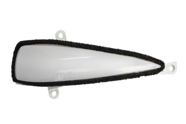 BLIC 5403-018-12-862D Direction Indicator