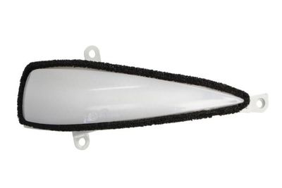 Direction Indicator BLIC 5403-018-12-862D