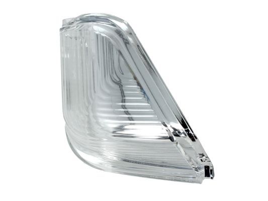 BLIC 5403-03-10010P Auxiliary Direction Indicator