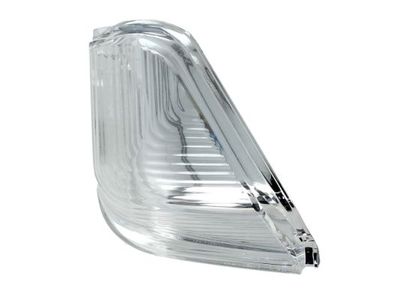 Auxiliary Direction Indicator BLIC 5403-03-10010P