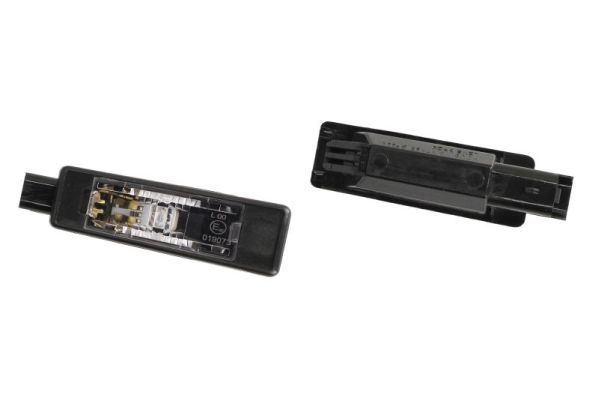BLIC 5403-038-20-905LED Licence Plate Light