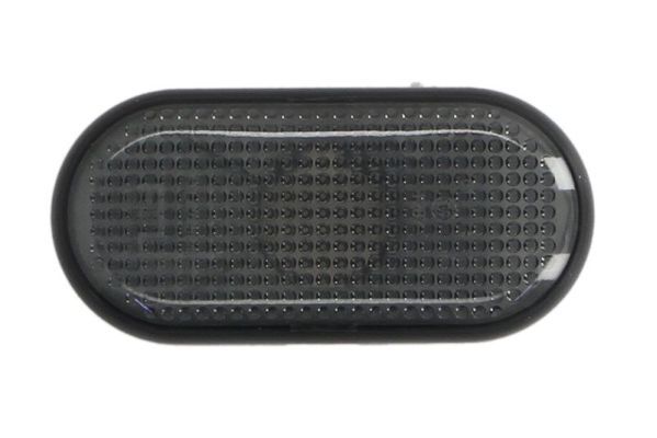 BLIC 5403-042-45-840S Direction Indicator