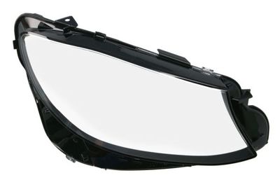 Diffusing Lens, headlight BLIC 5410-02-0828106P