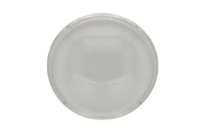 Diffusing Lens, headlight BLIC 5410-43-1330106P