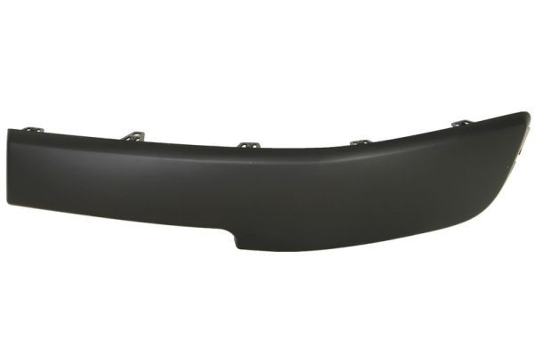 BLIC 5507-00-6041921P Trim/Protection Strip, bumper