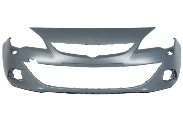 BLIC 5510-00-5053903GQ Bumper