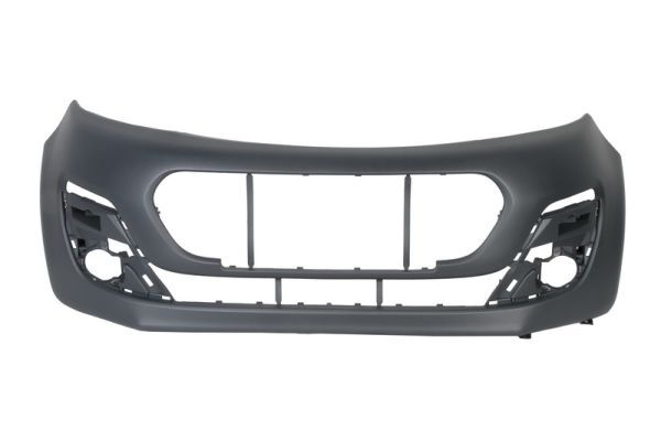 BLIC 5510-00-5501901P Bumper