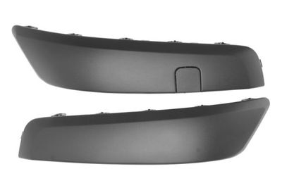Trim/Protection Strip, bumper BLIC 5510-00-6042923P
