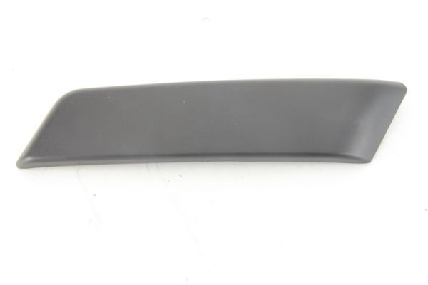 BLIC 5510-00-6043921P Trim/Protection Strip, bumper