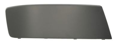 Trim/Protection Strip, bumper BLIC 5510-00-9568926P