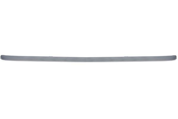 BLIC 5510-00-9586921P Trim/Protection Strip, bumper