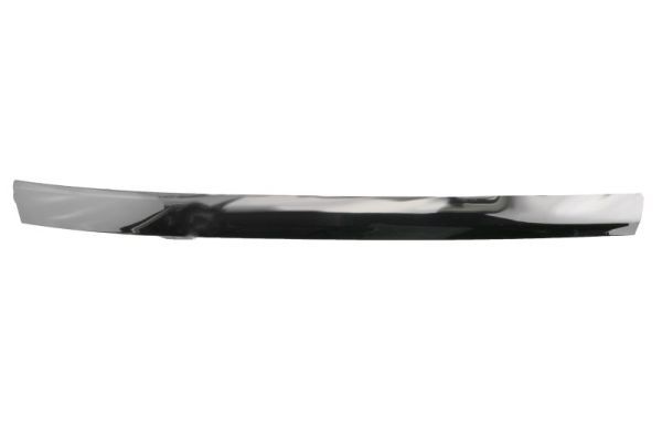 BLIC 5510-00-9586922P Trim/Protection Strip, bumper