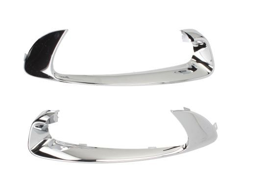 BLIC 5510-00-6046998P Trim/Protection Strip, bumper