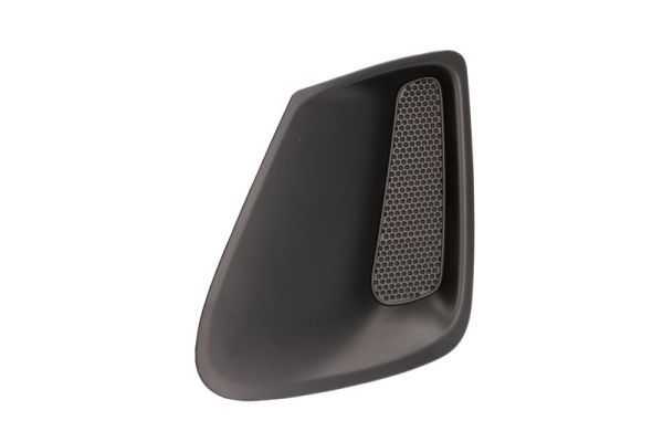 BLIC 5510-00-81169901P Ventilation Grilles, bumper