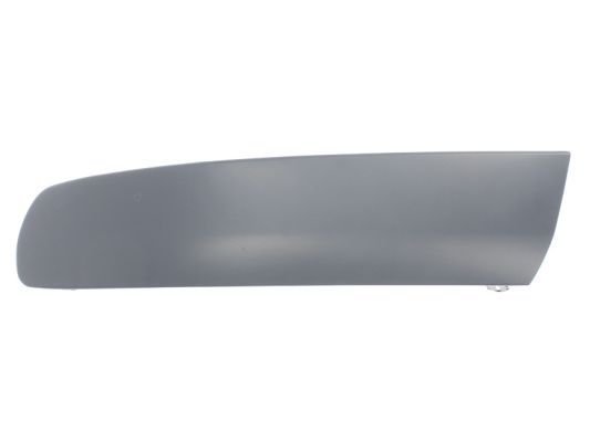 BLIC 5510-00-9568923P Trim/Protection Strip, bumper