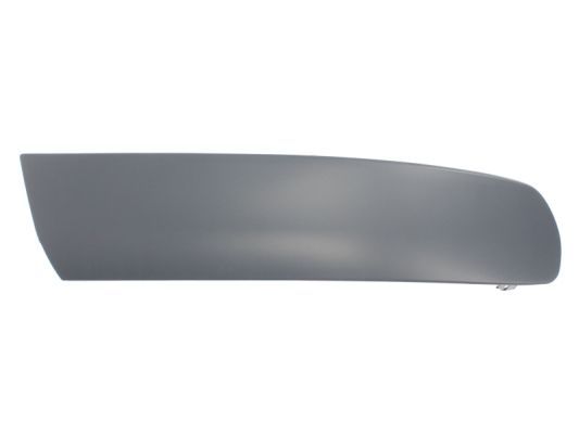 BLIC 5510-00-9568924P Trim/Protection Strip, bumper