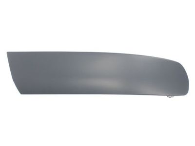Trim/Protection Strip, bumper BLIC 5510-00-9568924P