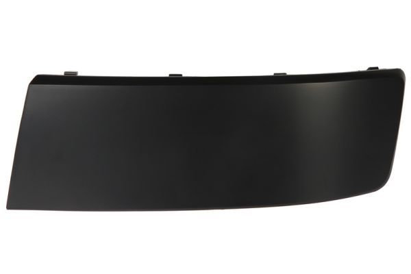 BLIC 5510-00-9568925PP Trim/Protection Strip, bumper