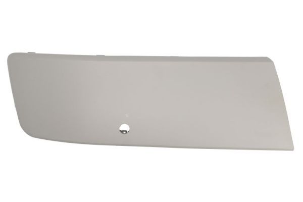 BLIC 5510-00-9568928P Trim/Protection Strip, bumper