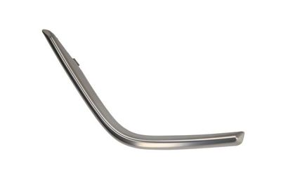 Trim/Protection Strip, bumper BLIC 5511-00-3183972P