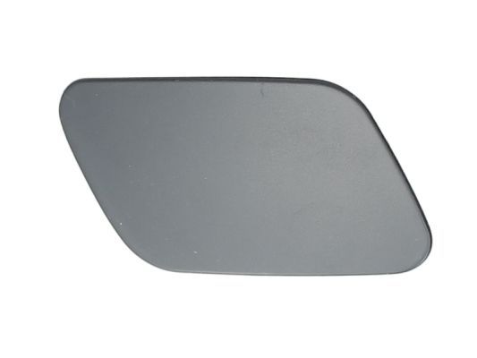 BLIC 5513-00-0028924P Cover, bumper