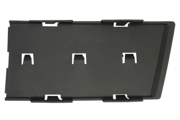 BLIC 5513-00-0028927PP Trim/Protection Strip, bumper