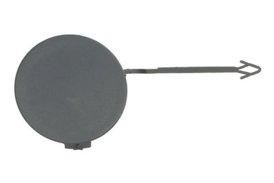Bumper Cover, trailer hitch BLIC 5513-00-0029920P