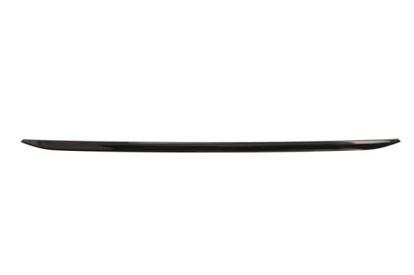 BLIC 5513-00-00639211P Trim/Protection Strip, bumper